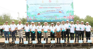 Toyota 60th Anniversary plant 600,000 trees - Bangpu Recreation Center - Samut Prakan 2022