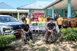 MMTh Disability Employment Project 2024