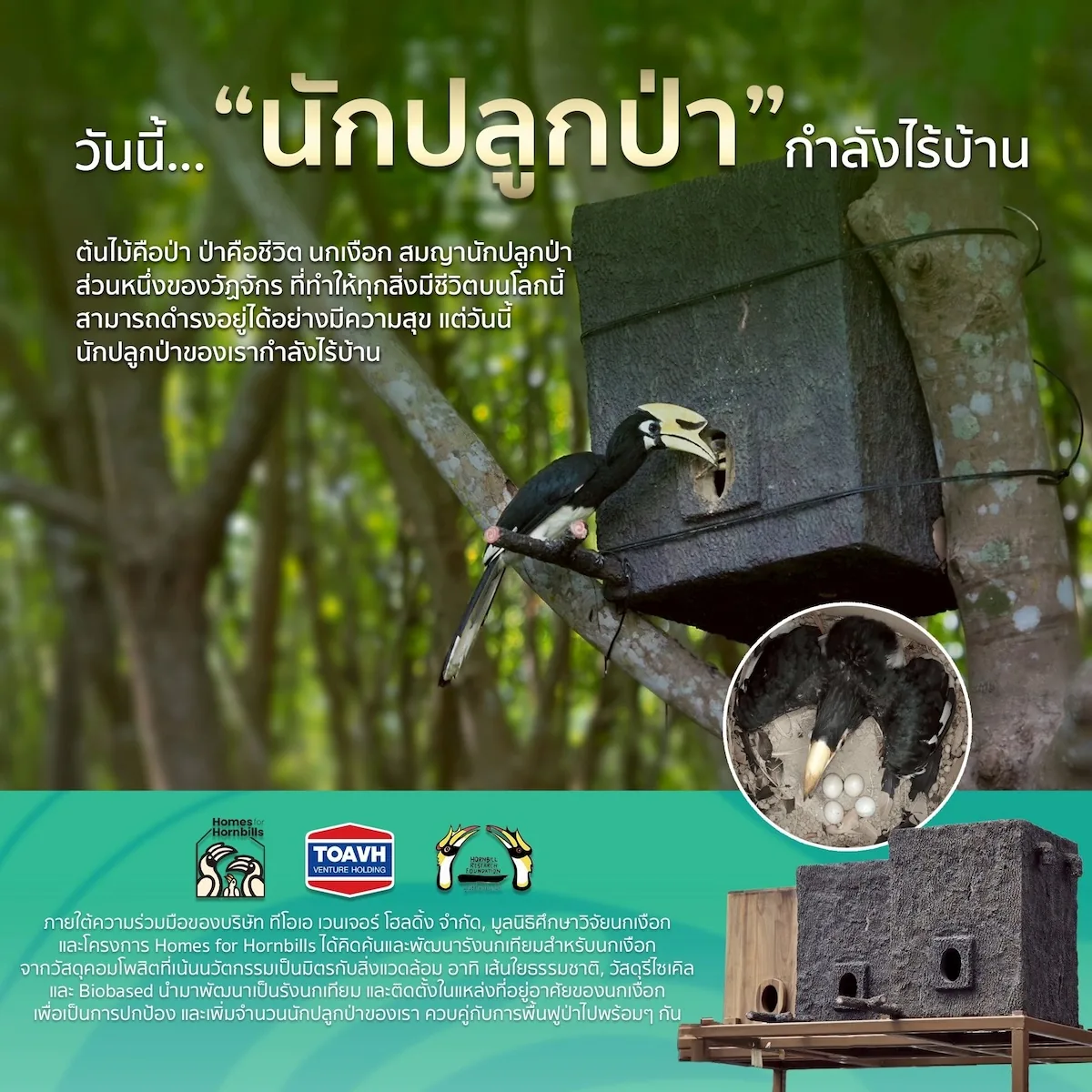 นวัตกรรมโพรงรังเทียมเพื่ออนุรักษ์นกเงือก โพรงรังเทียมสำหรับนกเงือกในโครงการ Homes for Hornbills