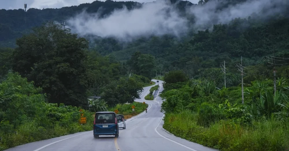 นิสสัน เซเรน่า อี-พาวเวอร์ ขับผ่านเส้นทางภูเขาและป่าเขียวชอุ่ม ระหว่างโร้ดทริปภาคใต้ บรรยากาศหมอกบางและธรรมชาติสองข้างทาง