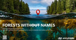ภาพแคมเปญ Hyundai Forests Without Names สื่อถึงป่าใต้ทะเลและการตั้งชื่อระบบนิเวศทางทะเล