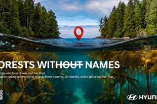 ภาพแคมเปญ Hyundai Forests Without Names สื่อถึงป่าใต้ทะเลและการตั้งชื่อระบบนิเวศทางทะเล