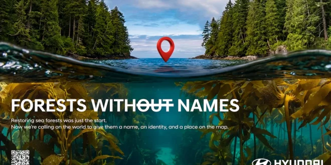 ภาพแคมเปญ Hyundai Forests Without Names สื่อถึงป่าใต้ทะเลและการตั้งชื่อระบบนิเวศทางทะเล