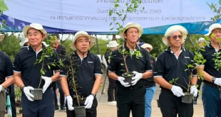 ผู้บริหารและผู้ร่วมกิจกรรมถือกล้าไม้ในงานโตโยต้าปลูกป่าชายเลน ปีที่ 19