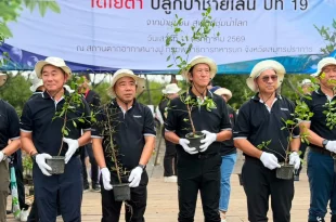 ผู้บริหารและผู้ร่วมกิจกรรมถือกล้าไม้ในงานโตโยต้าปลูกป่าชายเลน ปีที่ 19