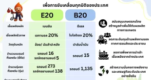 อินโฟกราฟิกเปรียบเทียบ E20 และ B20 พร้อมจำนวนยี่ห้อ รุ่นรถ และสถานีบริการน้ำมันที่รองรับ