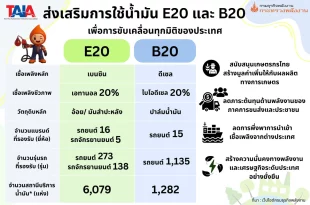อินโฟกราฟิกเปรียบเทียบ E20 และ B20 พร้อมจำนวนยี่ห้อ รุ่นรถ และสถานีบริการน้ำมันที่รองรับ