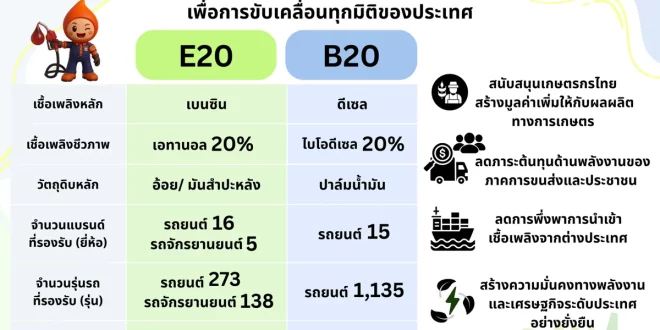 อินโฟกราฟิกเปรียบเทียบ E20 และ B20 พร้อมจำนวนยี่ห้อ รุ่นรถ และสถานีบริการน้ำมันที่รองรับ