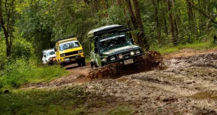 ขบวนรถออฟโรดในกิจกรรม BFGoodrich KO3 Caravan ขับผ่านแอ่งโคลนบนเส้นทางป่า มีรถสีเขียวเป็นคันนำ