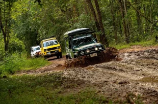 ขบวนรถออฟโรดในกิจกรรม BFGoodrich KO3 Caravan ขับผ่านแอ่งโคลนบนเส้นทางป่า มีรถสีเขียวเป็นคันนำ