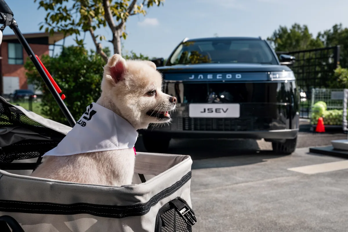 กิจกรรม Pet-Friendly กับ JAECOO 5 EV สุนัขสีครีมนั่งอยู่ในรถเข็นสำหรับสัตว์เลี้ยง โดยมีรถยนต์ไฟฟ้า JAECOO 5 EV สีดำจอดอยู่ด้านหลัง